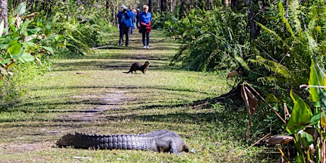 Guided Walk Wednesdays at CREW Bird Rookery Swamp