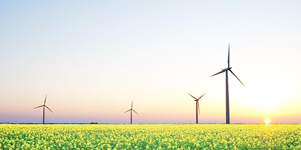 BEYOND CARBON: investing in clean energy & a livable climate, with Tom Rand
