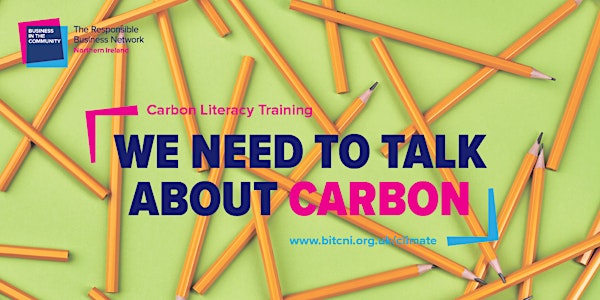 Carbon Literacy for  Small Businesses- Top Management NI