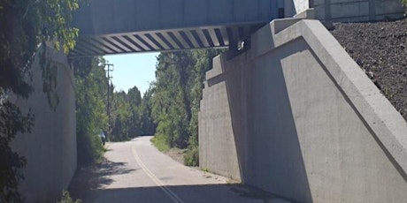 "REPLACEMENT OF A RAILROAD BRIDGE IN 100 DAYS" primary image