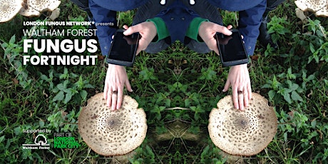 FUNGUS FORTNIGHT AFTER-PARTY & MYCO-SOCIAL