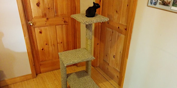 Let's Build a Cat Tower!
