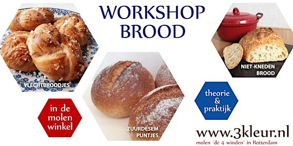 Workshop Brood ~ vlechtbroodjes, zuurdesem en niet-kneden-brood