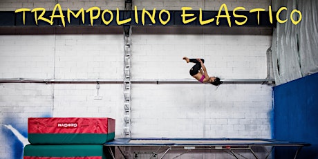 Immagine principale di Corso di formazione Acrobatica su TRAMPOLINO ELASTICO 