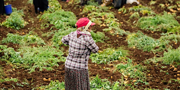 La condizione delle donne migranti in agricoltura e nel lavoro domestico