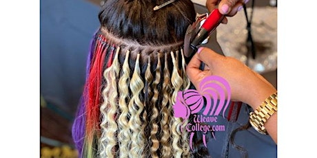 Chicago, IL | Hair Extension Class & Micro Link Class