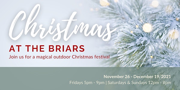 Christmas at The Briars