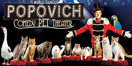 Popovich Comedy Pet Theater tickets