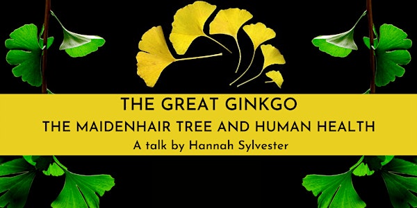 The Great Ginkgo - the Maidenhair tree and human health