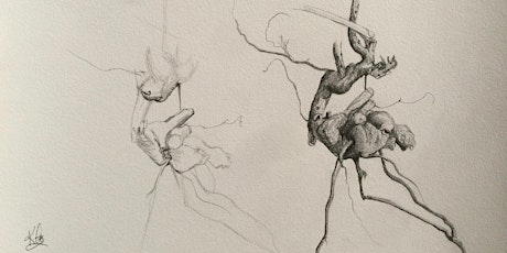 New Observational Drawing Course Autumn 2021 - Mornings  primärbild