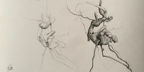 New Observational Drawing Course Autumn 2021 - Evenings primary image