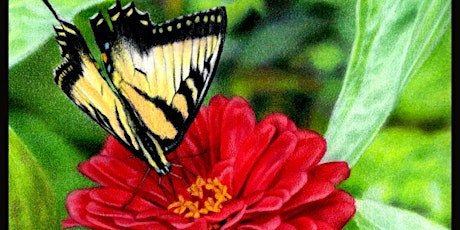 Botanical Beauty in Colored Pencil primary image