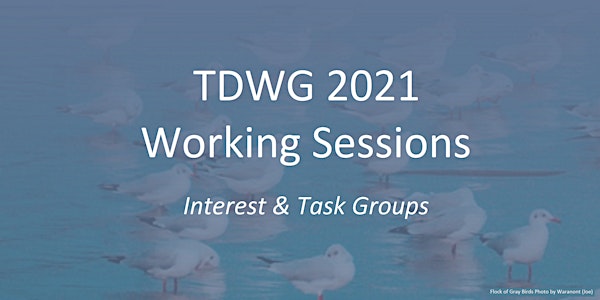 TDWG 2021 - Working Sessions