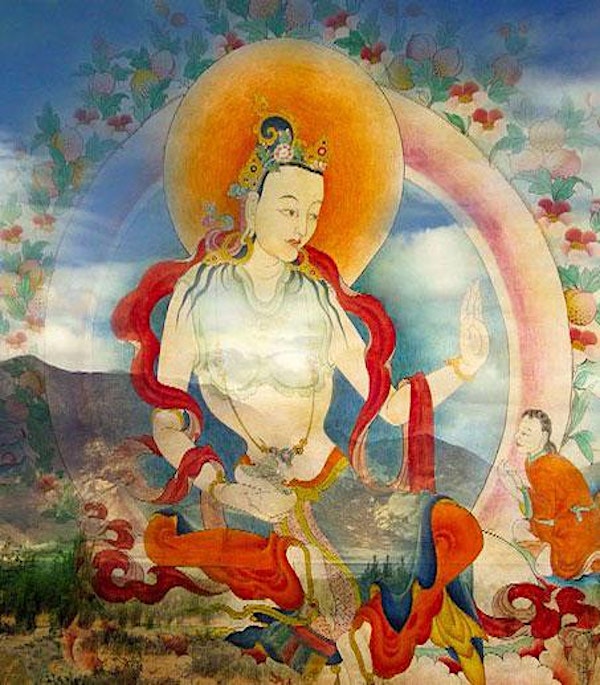 View Film Online: In the Minds of All Beings: Tsogyal Latso of Tibet