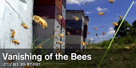 Vanishing of the Bees - UCD Science Expression primary image