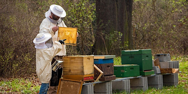 Becoming a Beekeeping Family in Piedmont North Carolina