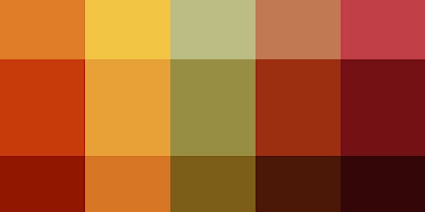 Breaking Down Shades of Color: Power, Privilege and Potential in Race Conflicts