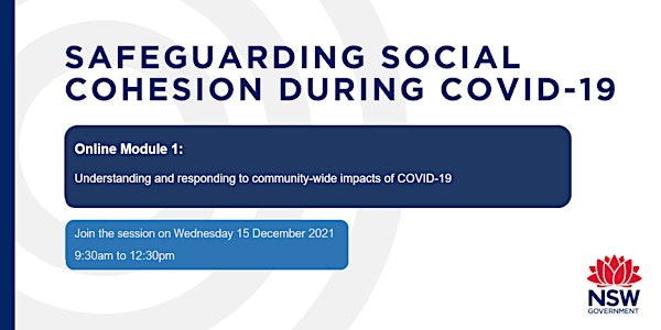 Safeguarding Social Cohesion during COVID-19 : Module 1