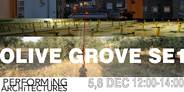 OLIVE GROVE SE1