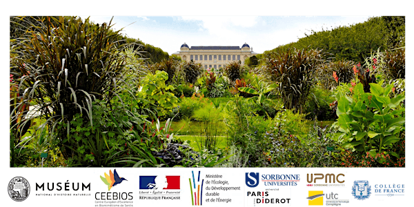Recherches Inspirées de la Biodiversité