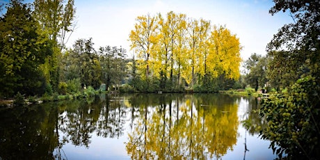 Primaire afbeelding van Randonnée Reconnexion à soi au travers de la nature