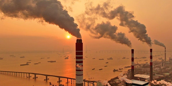Can carbon markets solve the climate crisis?