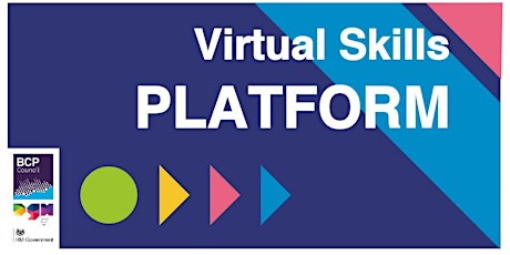 Virtual Skills Platform primary image