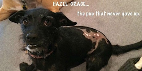 Hazel Grace Calendar Release primary image