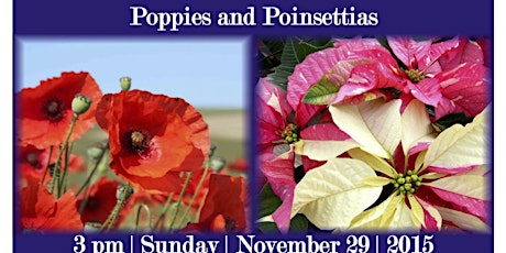 Poppies and Poinsettias