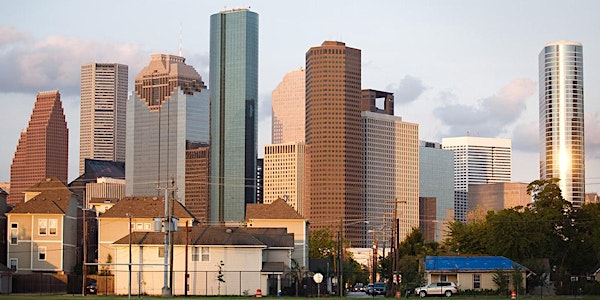 Houston & the Legislature: What's Next?