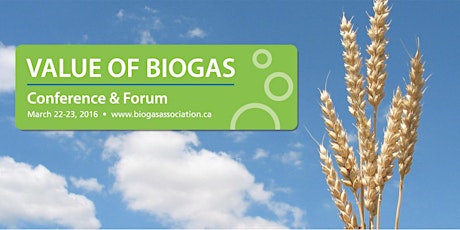 Value of Biogas 2016 primary image