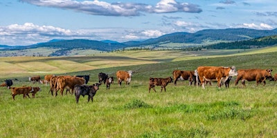 GCC Fall Webinar 3 – Range Management: Cows, Forage, Soils and Trees