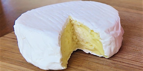 Cheesemaking Workshop: Soft White Cheeses