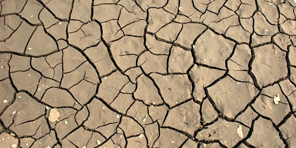 Panel: What Would a Fifth Year of Drought Mean for California?