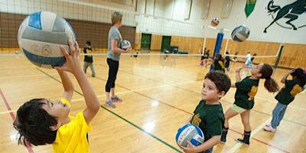 Social Volleyball for Kids(aged10-12)