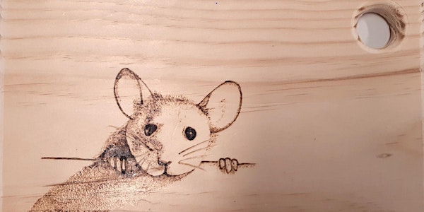 Pyrography two week twilight entry level short course - booked out