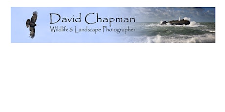 Improve your Photography with Wildlife Photographer David Chapman tickets
