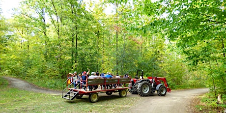 Fall Forest Wagon Ride - Terra Cotta Conservation Area primary image