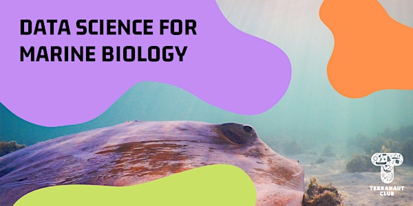 Data Science for Marine Biologists: Afternoon Session