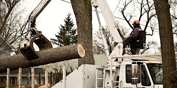 Bringing the Urban Forest Full Circle Conference & Networking Event