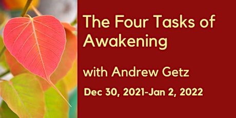 Hauptbild für New Year's Online Retreat with  Andrew Getz: The Four Tasks of Awakening