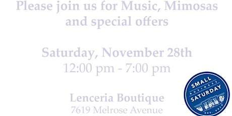 Lenceria Boutique and Big Bag Theory Trunk Show for Small Business Saturday primary image