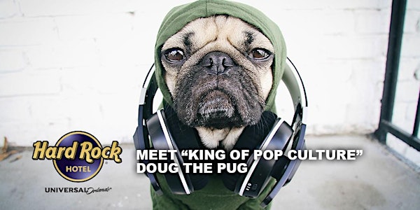 Meet Doug the Pug