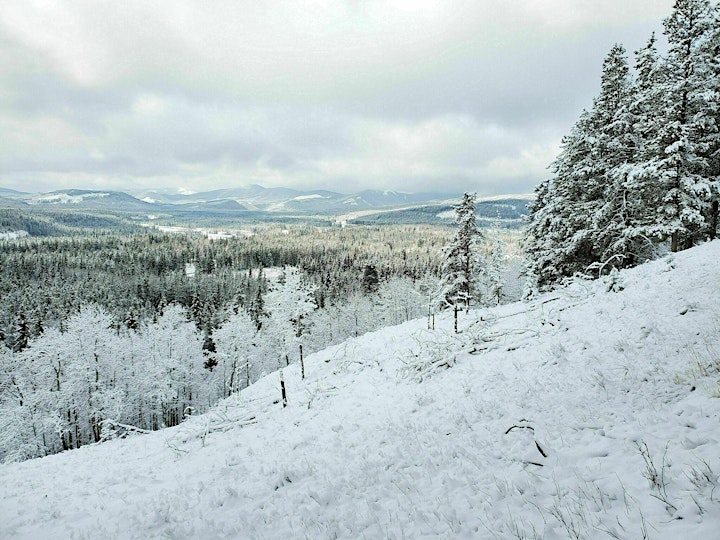 
		Winter wonderland guided hike at  Fullerton Loop- Bragg Creek area (3BS) image
