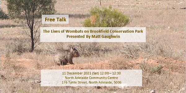 Public Talk: The Lives of Wombats on Brookfield Conservation Park