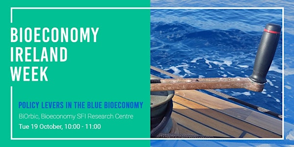 Blue Bioeconomy Policy insights to promote the Irish marine sector