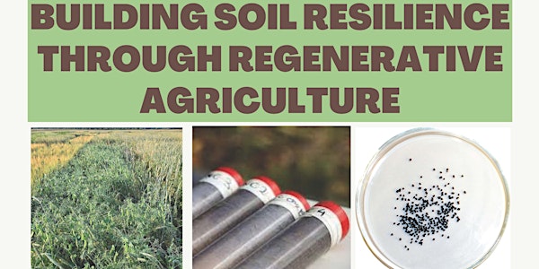 Building Soil Health Through Regenerative Agriculture