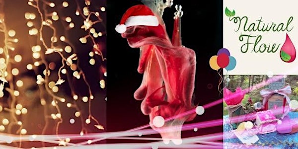 Holiday Party for Menstrual Activists & Allies