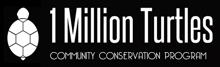 1 Million Turtles Program Launch image