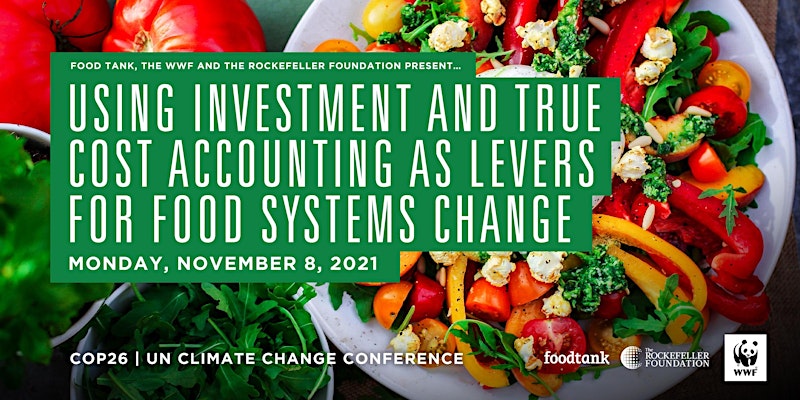 Using Investment and True Cost Accounting as Levers for Food Systems Change